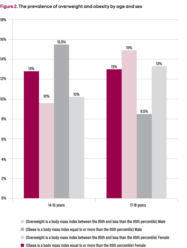 The Relationship Between Physical Activity And Diet And Overweight And Obesity In Young People
