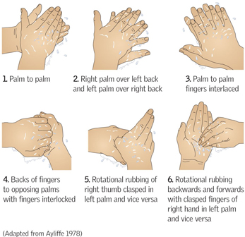 hand hygiene technique hand washing technique