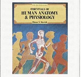 Essentials Of Human Anatomy And Physiology 8th Edition